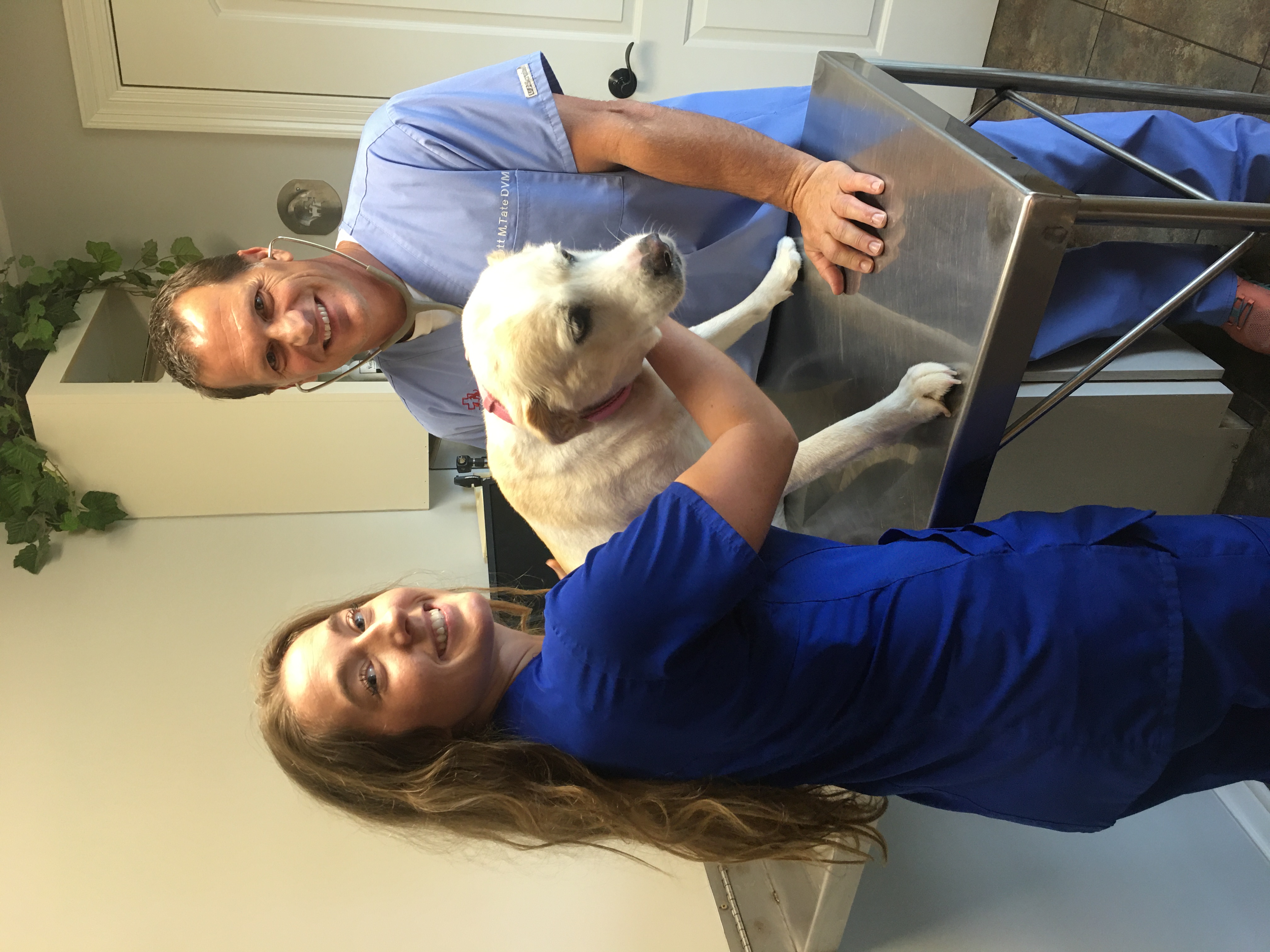 Veterinary Services | Lafayette, LA Veterinarian | Vet Med Animal Hospital